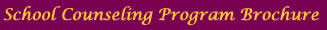 School Counseling Program Brochure